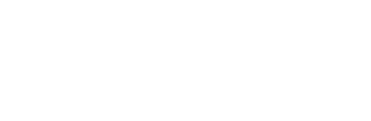 logo not found